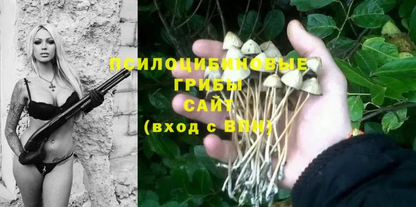 хмурый Абинск