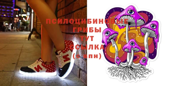 метадон Алексин