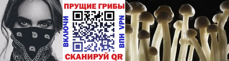 Галлюциногенные грибы мухоморы  дарнет шоп  МЕГА сайт  Лениногорск 