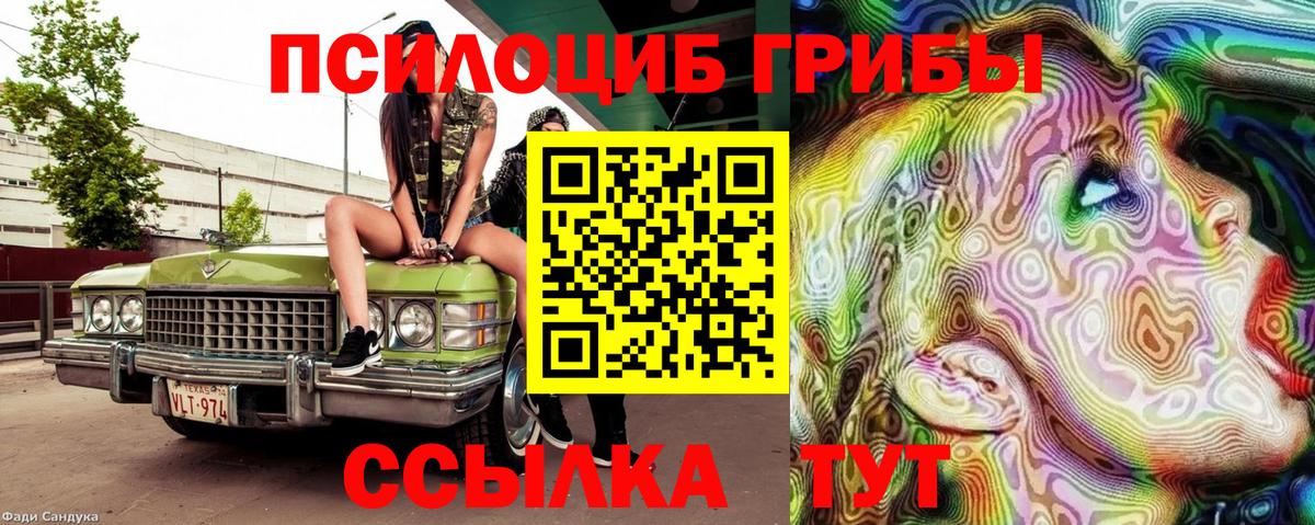 Лениногорск  Галлюциногенные грибы GOLDEN TEACHER  Псилоцибиновые грибы Psilocybe  Вход с VPN 